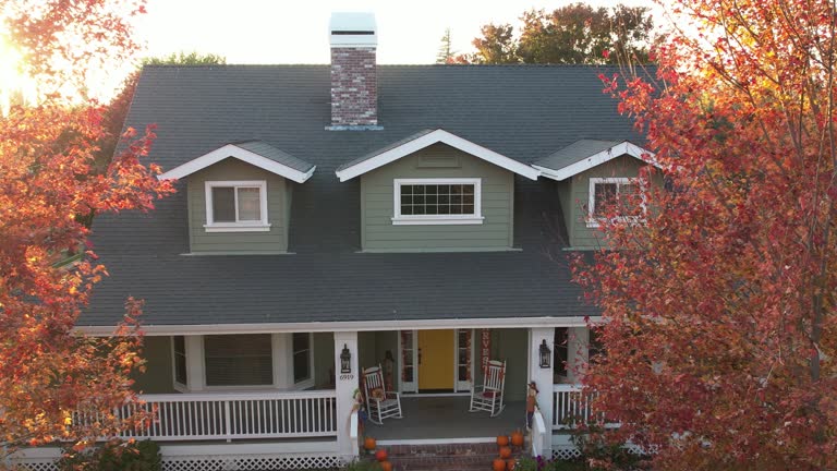 Best Roof Moss and Algae Removal  in Genoa City, WI